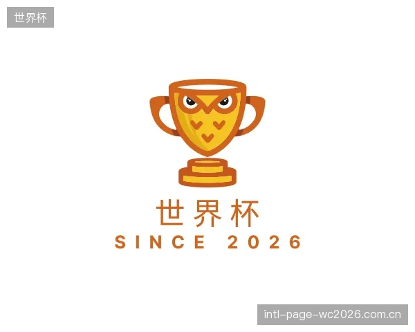 关于世界杯集团